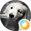 MAJOR REVIEWS SOUTH CAROLINA Avatar